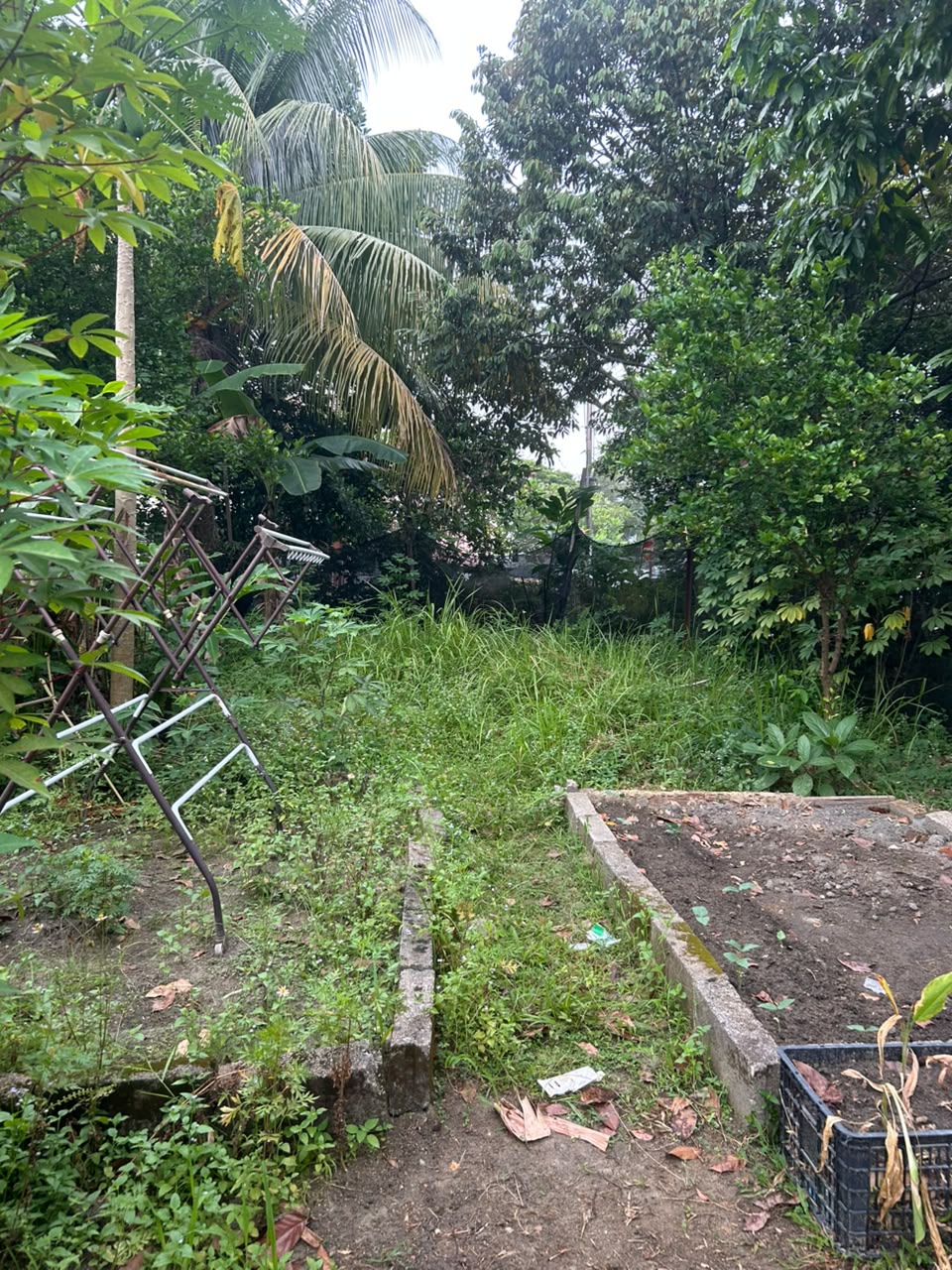 MESYUARAT AJK BIL.6 - 14 0G0S 2026 / 9.30 MLM/ LOKASI BILIK MEETING D'REBAN FOREST JIS-A