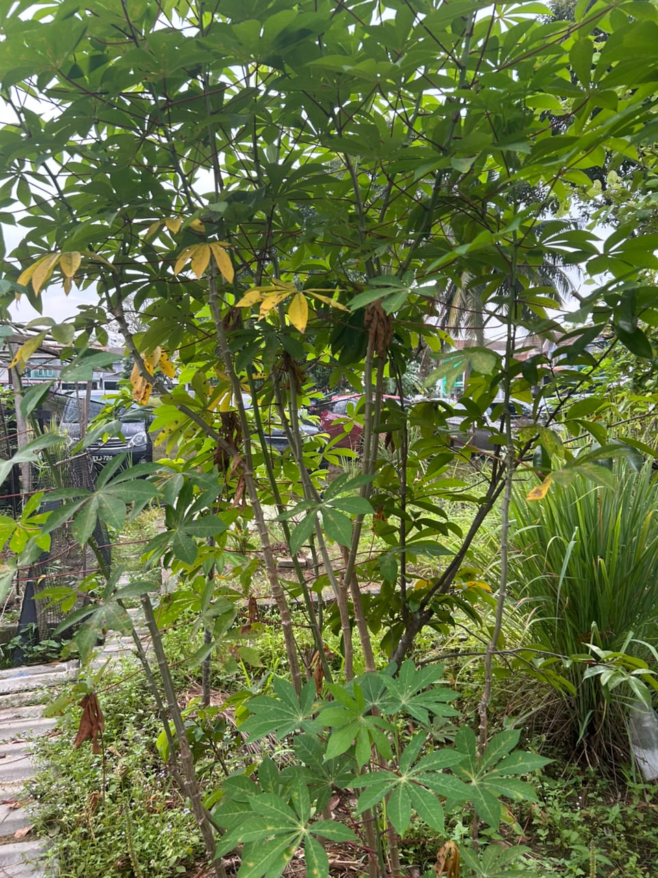 MESYUARAT AJK BIL.6 - 14 0G0S 2026 / 9.30 MLM/ LOKASI BILIK MEETING D'REBAN FOREST JIS-A