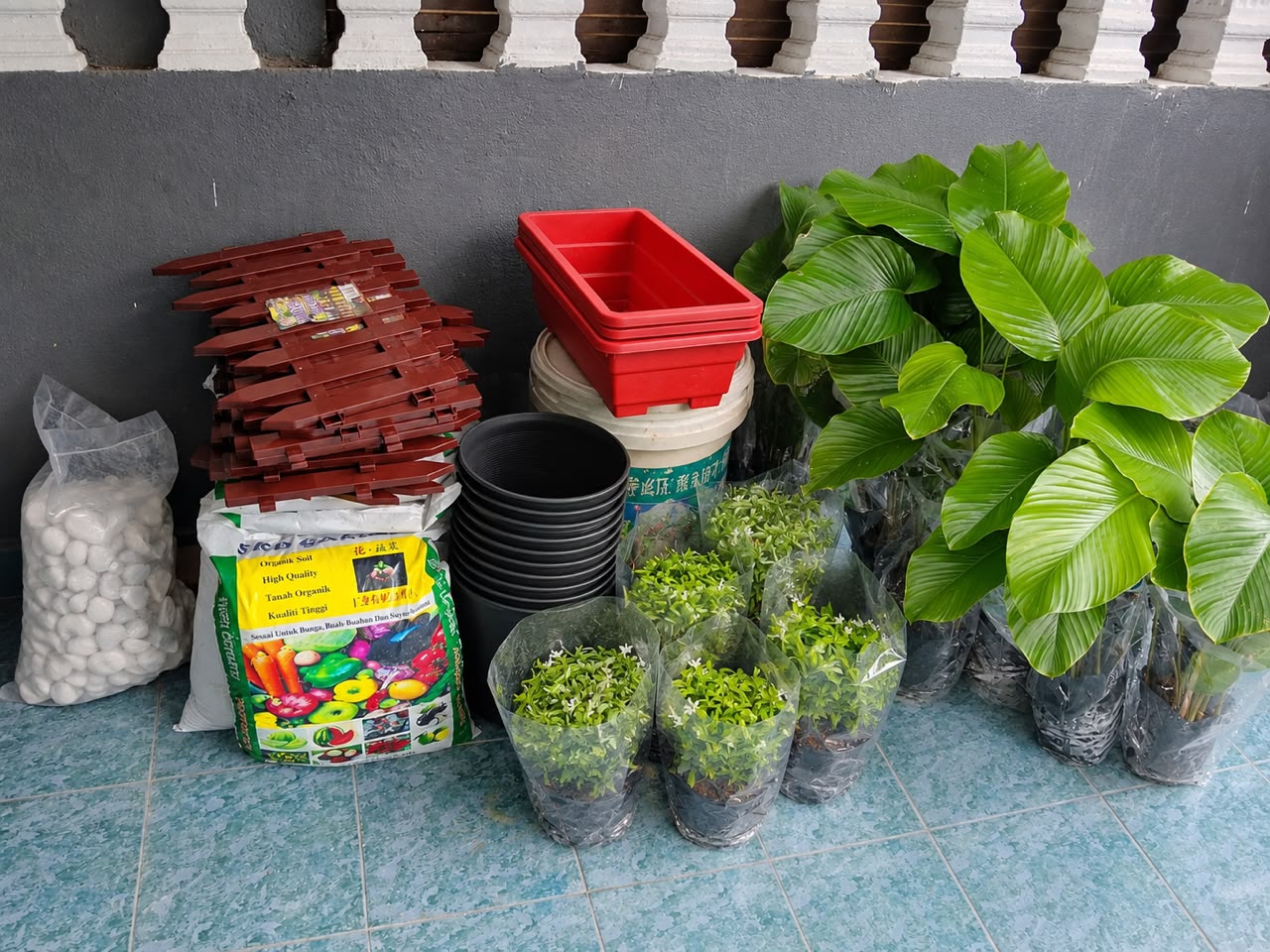 KEHIJAUAN BUMI MERDEKA DI IMPIAN SETIA